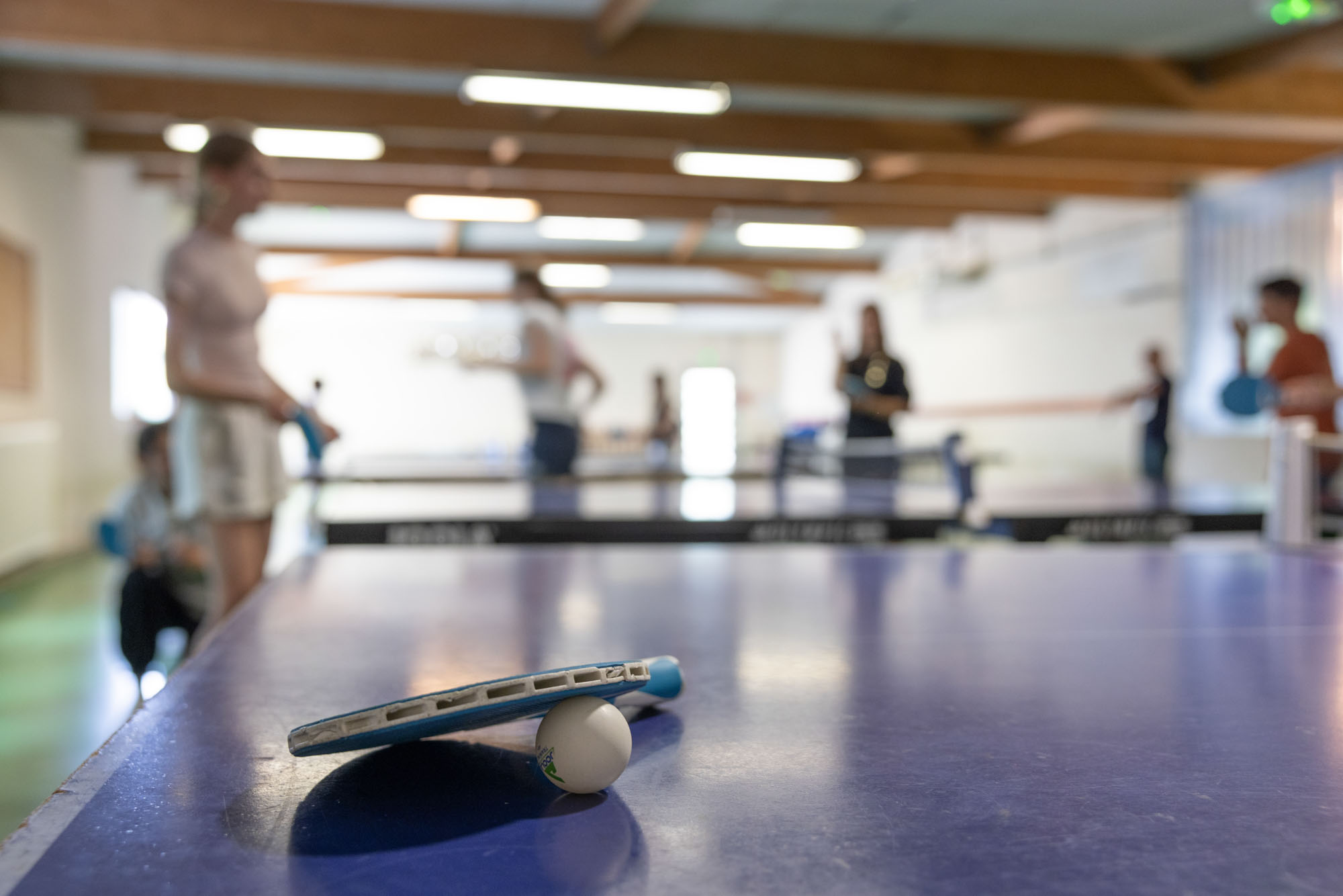 Sport-Grand-Lebrun (19)